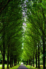 Adare Town Park, County Limerick, Ireland