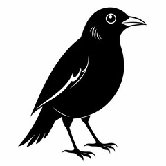 Myna Black silhouette