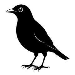 Myna Black silhouette