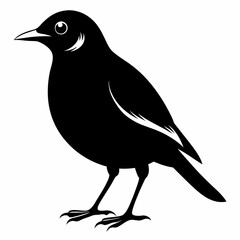 Myna Black silhouette