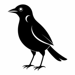 Myna Black silhouette