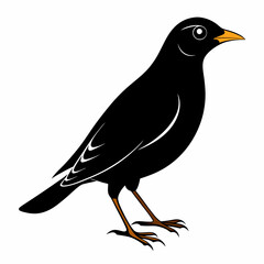 Myna Black silhouette