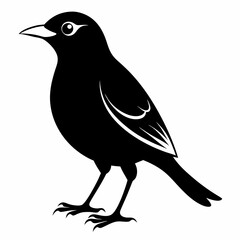 Myna Black silhouette