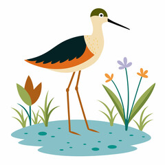 Sandpiper on water and plants white background