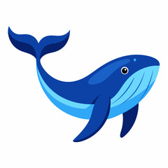 Humpback blue whale vector illustration