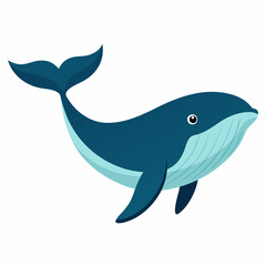 Humpback blue whale vector illustration
