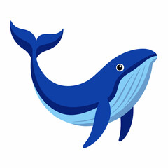 Humpback blue whale vector illustration