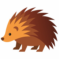 Porcupine vector illustration on white background
