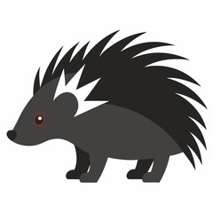 Porcupine vector illustration on white background