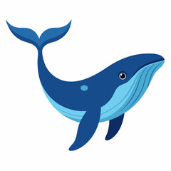 Humpback blue whale vector illustration