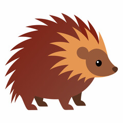 Porcupine vector illustration on white background