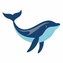 Humpback blue whale vector illustration