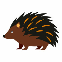 Porcupine vector illustration on white background