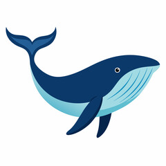 Humpback blue whale v ector illustration