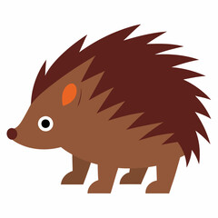 Porcupine vector illustration on white background