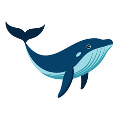 Humpback blue whale v ector illustration
