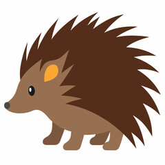 Porcupine vector illustration on white background