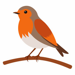 Robin on tree wood white background