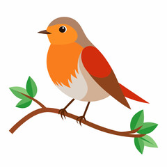 Robin on tree wood white background