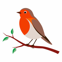 Robin on tree wood white background