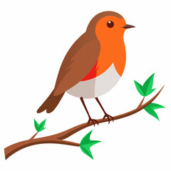 Robin on tree wood white background