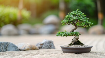 Serene bonsai tree in a tranquil garden setting with rocks and greenery in the background, perfect for meditation and peaceful concepts.