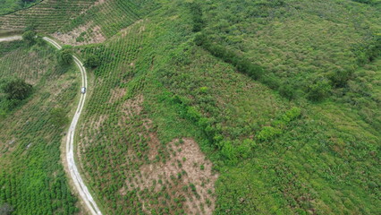 Aerial view of road on green hills and mountains with tea garden in the middle