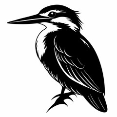 Kingfisher Black silhouette