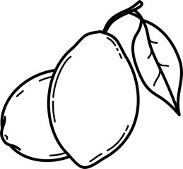 Lemon illustration outline vector