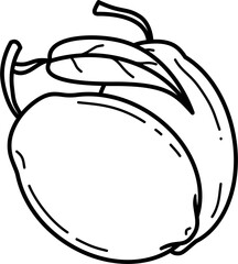 Lemon illustration outline vector