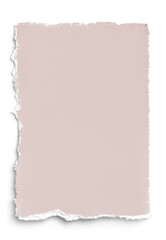 Blush Deckled Edge 5x7 Paper 2