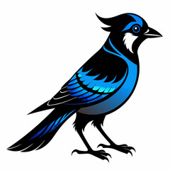 Black Blue Jay silhouette