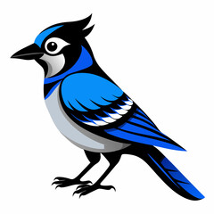 Black Blue Jay silhouette