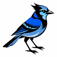 Black Blue Jay silhouette