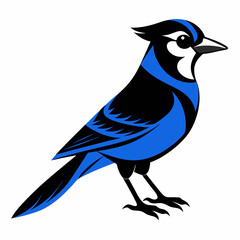 Black Blue Jay silhouette