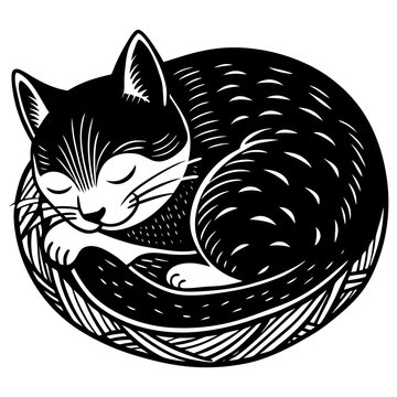  Sleepy Cat Curled up in a Cozy Spot Vector Design and illustratior