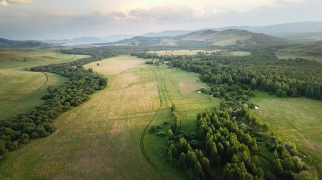 Forest and meadows with green grass at sunset. Green mountains in the background. Aerial drone view. Beautiful summer landscape.  
