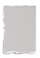 Obraz premium Pale Grey Deckled Edge 5x7 Paper 2