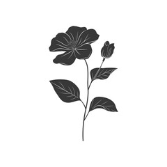 Monochromatic Botanical Illustration: Single Hibiscus Bloom and Bud
