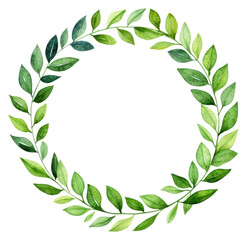 Naklejka premium PNG Green leaf circle border wreath plant white background.
