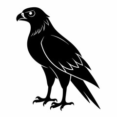 Harrier Black silhouette