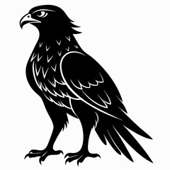 Harrier Black silhouette