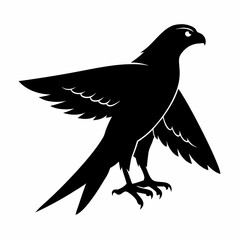 Harrier Black silhouette