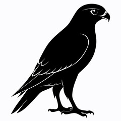 Harrier Black silhouette