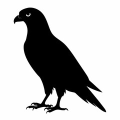 Harrier Black silhouette