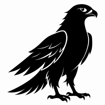 recommend clip art: Harrier Black silhouette