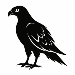 Harrier Black silhouette