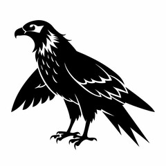 Harrier Black silhouette
