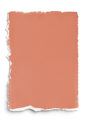 Obraz premium Terracota Handmade Paper