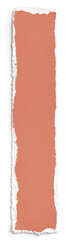 Fototapeta premium Terracota Handmade Paper Strip 2